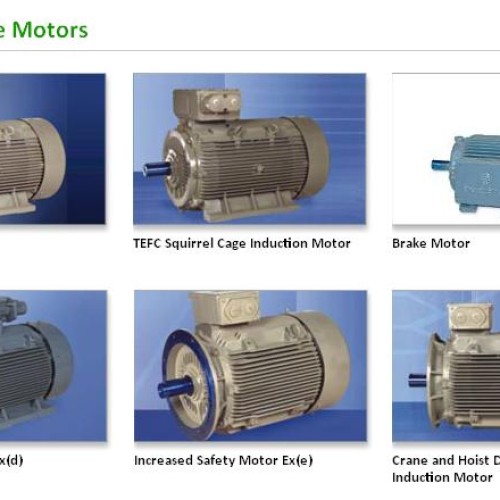 Bharat bijlee electrical motors